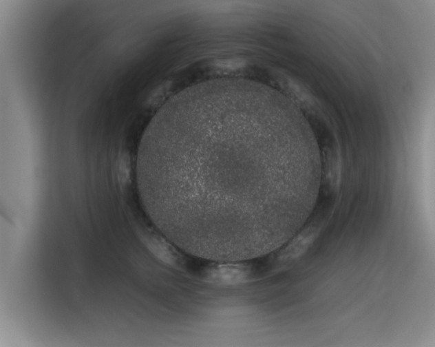 X0000115720758200911191351