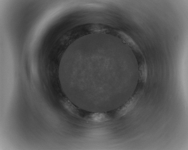 X0000115720762200911191351