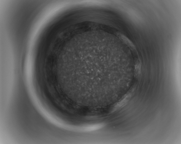 X0000115720765200911191351