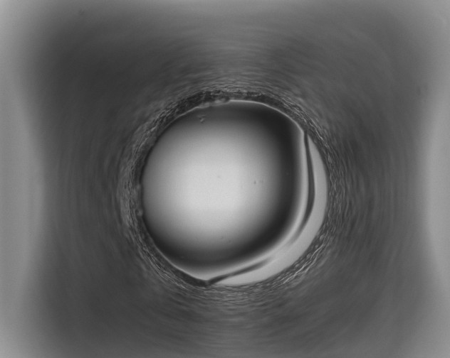 X0000115720769200911191351