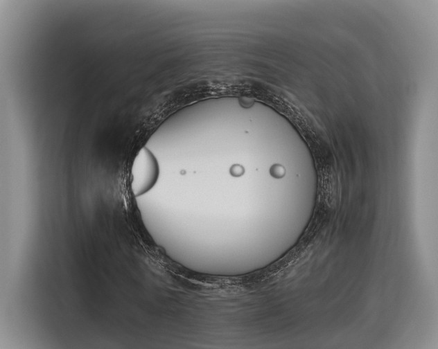 X0000115720770200911191351
