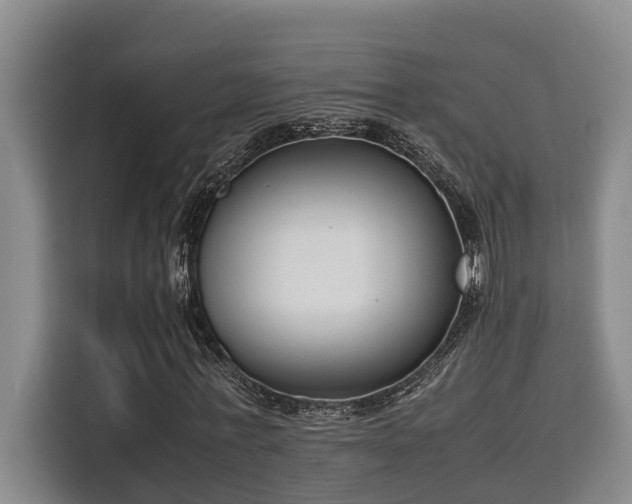 X0000115720771200911191351