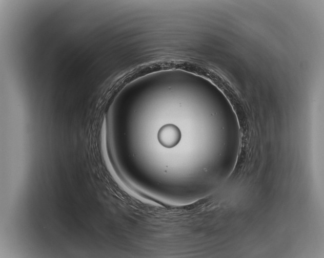 X0000115720773200911191351