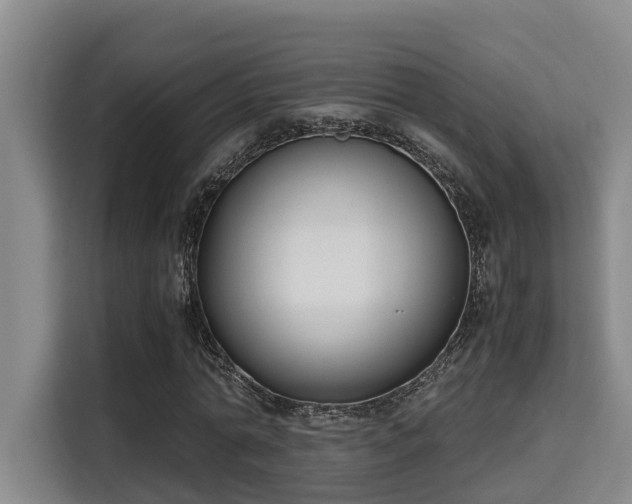 X0000115720774200911191351