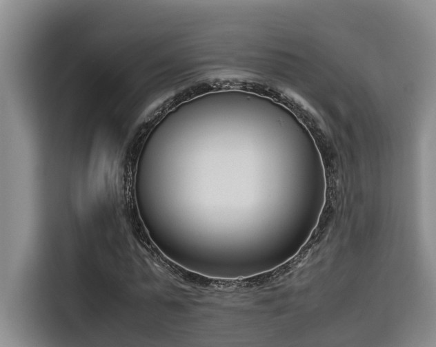 X0000115720775200911191351