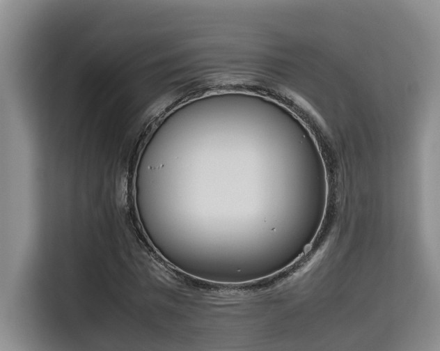 X0000115720777200911191351