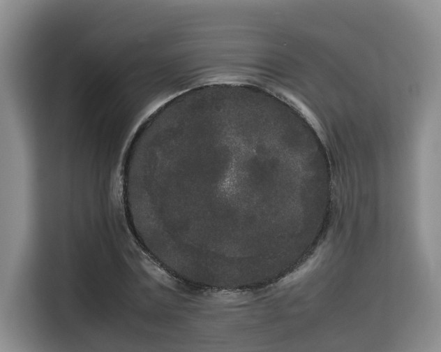 X0000115720779200911191350