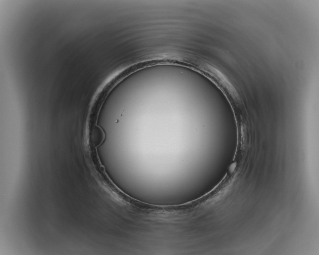 X0000115720780200911191350