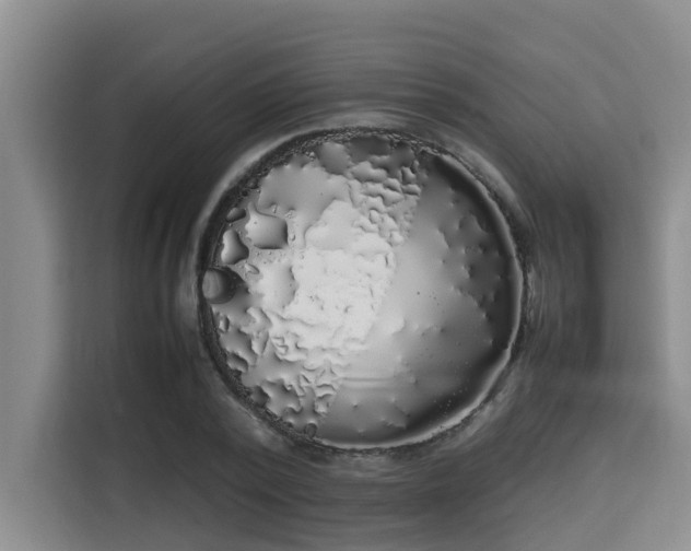 X0000115720784200911191350
