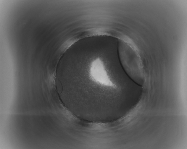 X0000115720785200911191350