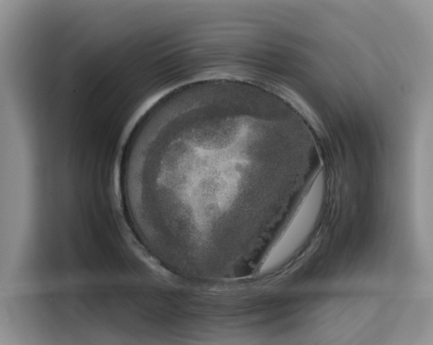 X0000115720788200911191350