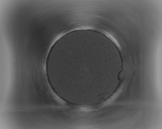 X0000115720797200911191350
