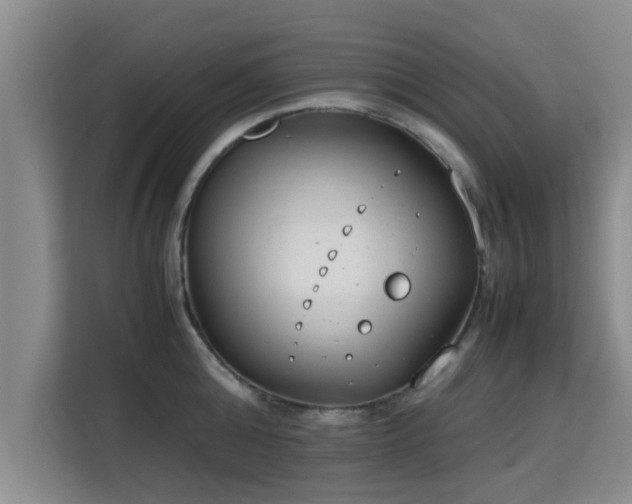 X0000115720808200911191350