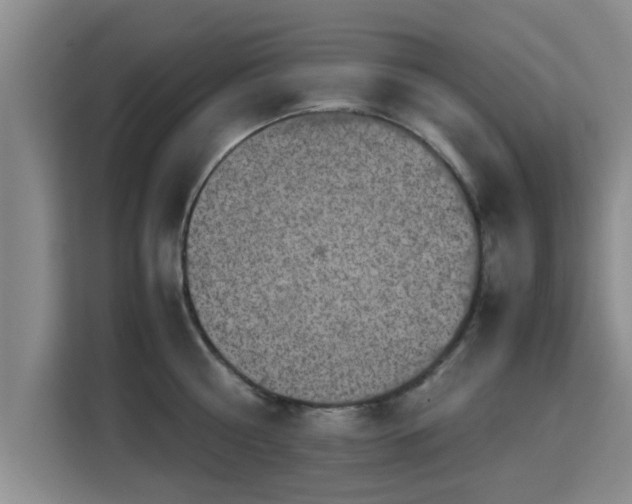 X0000115720810200911191350