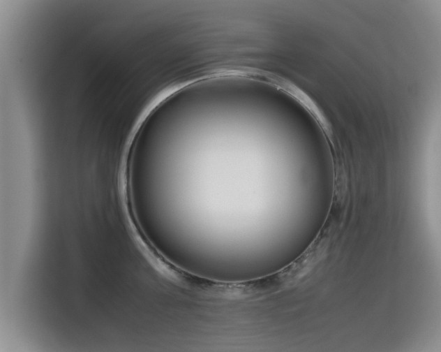 X0000115720811200911191350