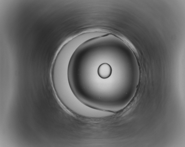 X0000115720813200911191350
