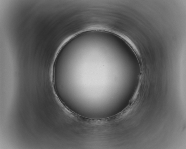 X0000115720815200911191350