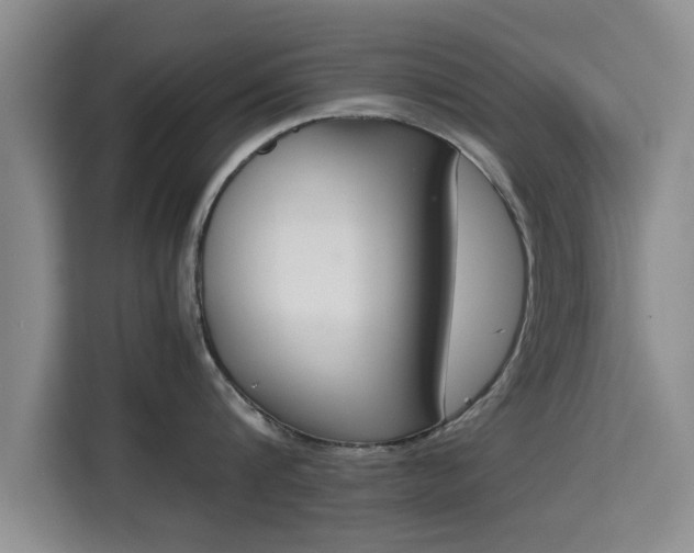 X0000115720816200911191350