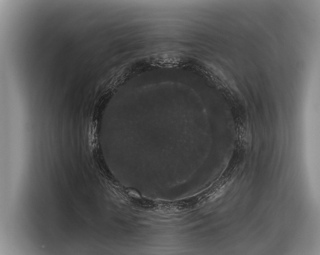 X0000115720818200911191349