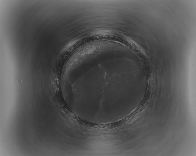 X0000115720822200911191349