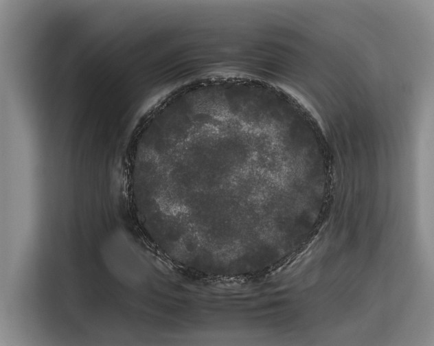X0000115720823200911191349