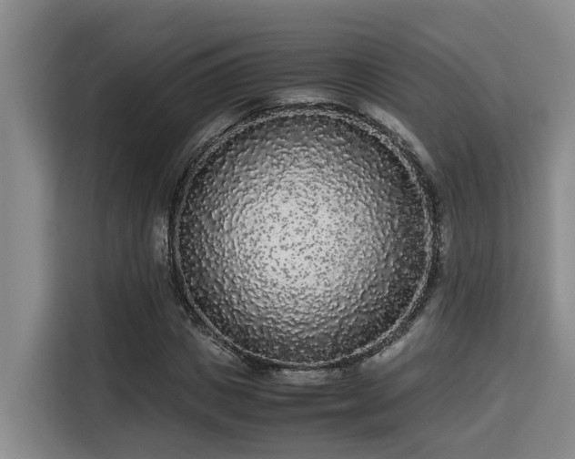 X0000115720825200911191349