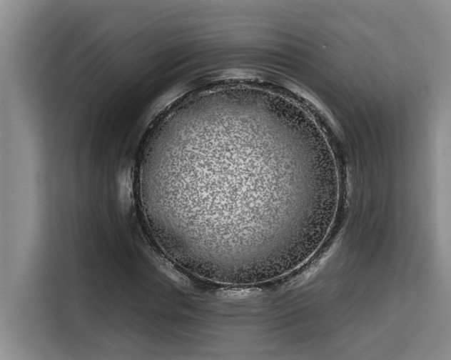 X0000115720826200911191349