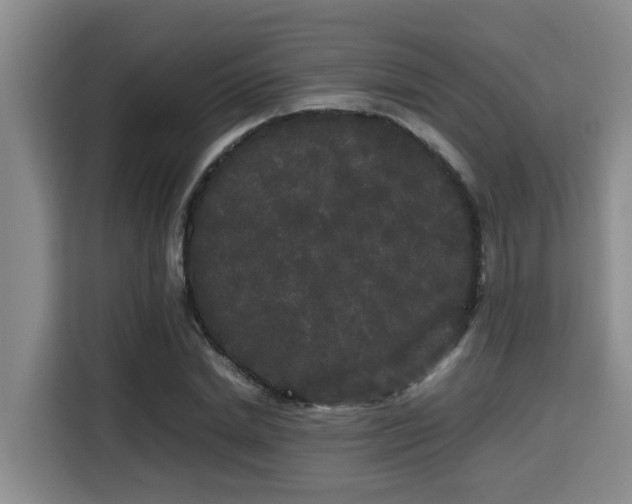 X0000115720830200911191350