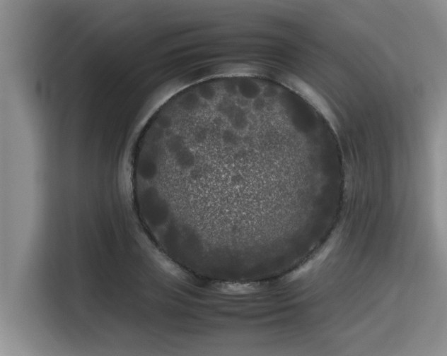 X0000115720835200911191350