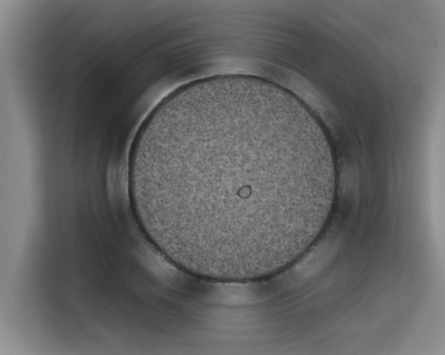 X0000115720836200911191350