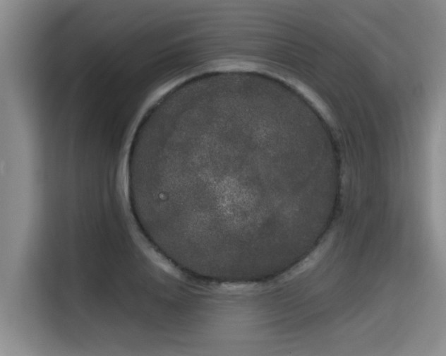 X0000115720840200911191350