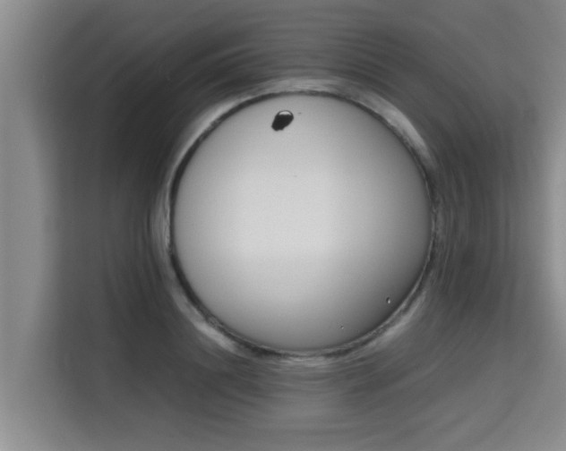 X0000115720844200911191350