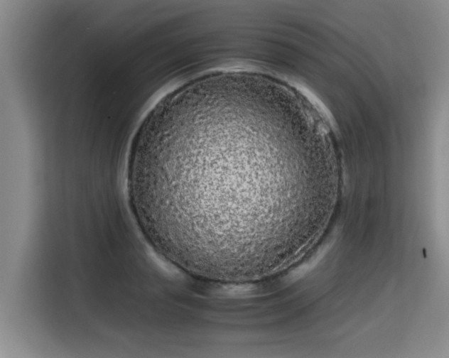 X0000115720845200911191350