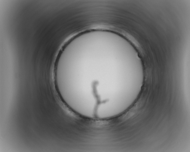 X0000115720848200911191350