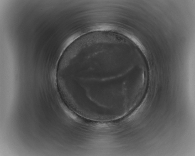 X0000115720850200911191350