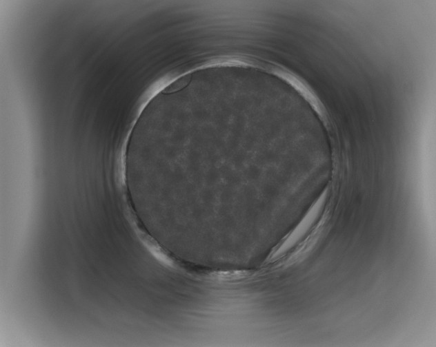 X0000115720858200911191350
