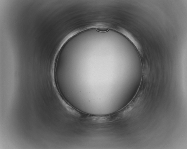 X0000115720861200911191350