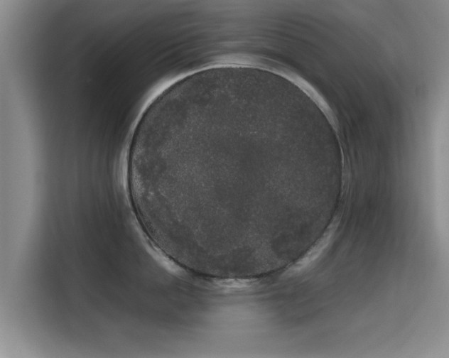 X0000115720862200911191350