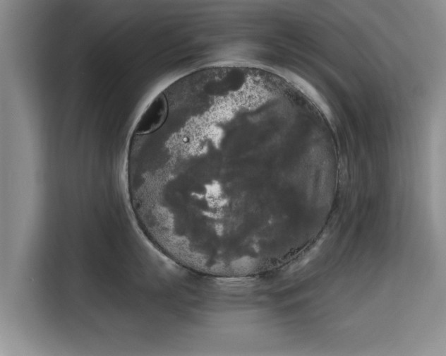 X0000115720863200911191350