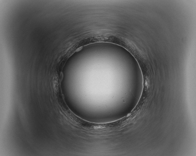 X0000115720867200911191349