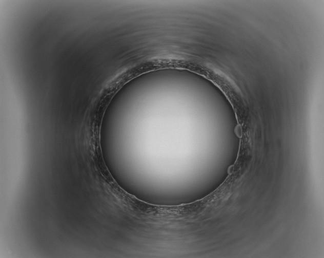 X0000115720870200911191349