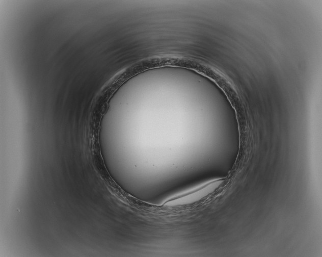 X0000115720872200911191349