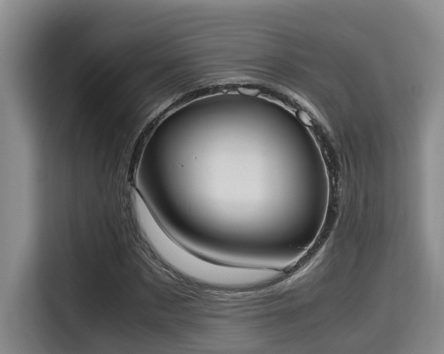 X0000115720873200911191349
