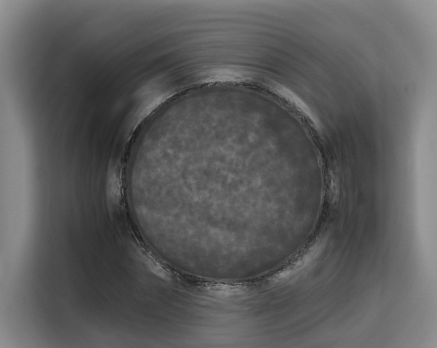 X0000115720874200911191349