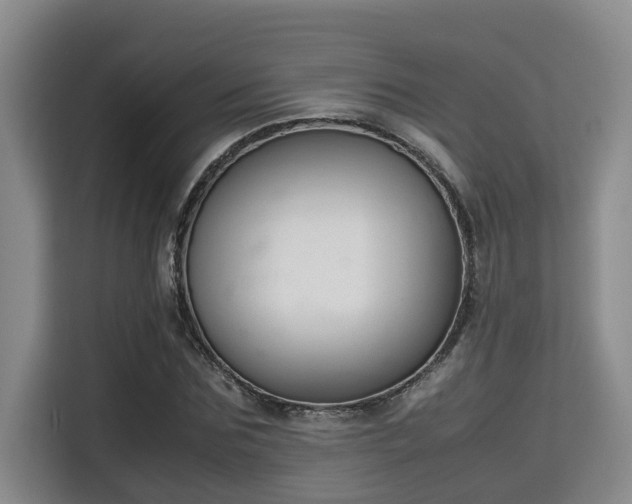 X0000115720875200911191349