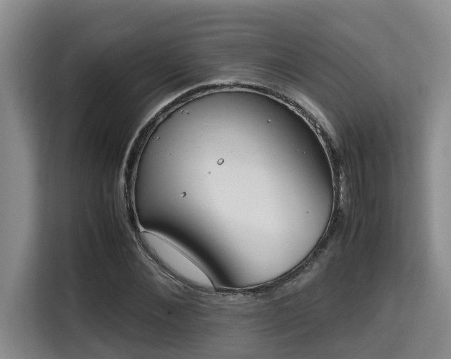 X0000115720876200911191349