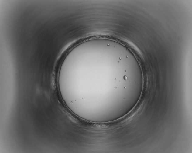 X0000115720878200911191349