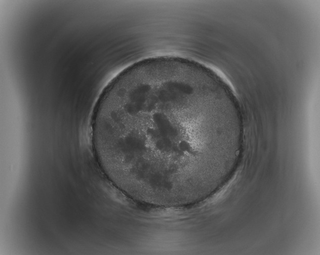 X0000115720879200911191349