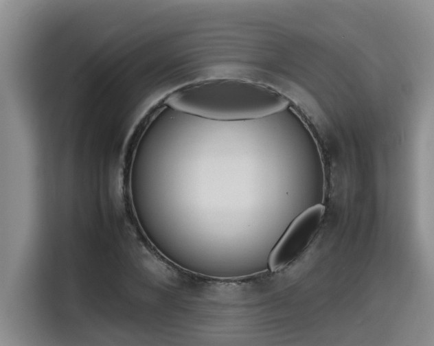 X0000115720880200911191349