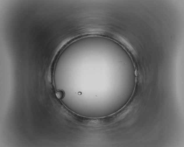 X0000115720883200911191349